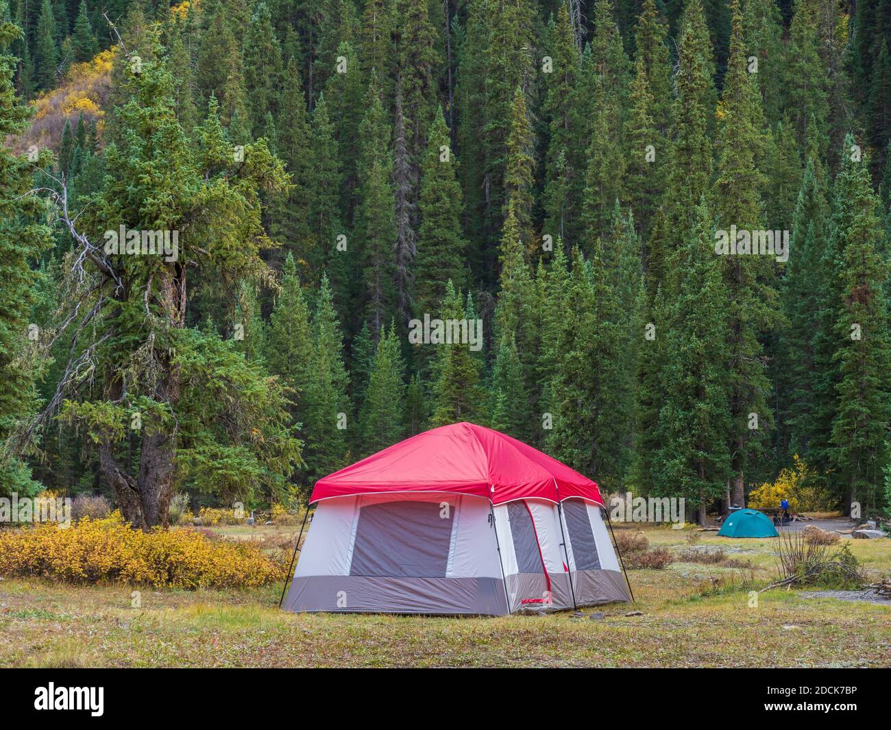 South Mineral Campground, San Juan National Forest in der Nähe von Silverton, Colorado. Stockfoto