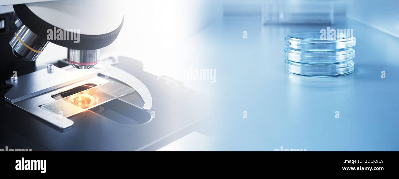 Mikroskop mit Objektträgerprobe und Petrischale medizinische Mikrobiologie Wissenschaft Blaues Banner im Labor Stockfoto
