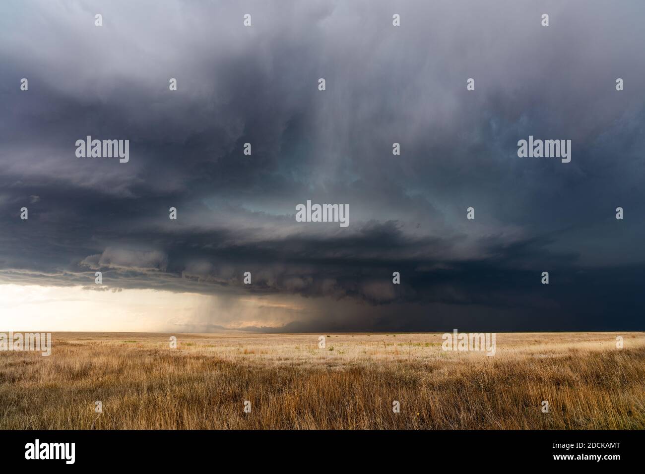 Stürmischer Himmel mit dunklen Sturmwolken, die sich über einem Feld nähern In Kansas Stockfoto
