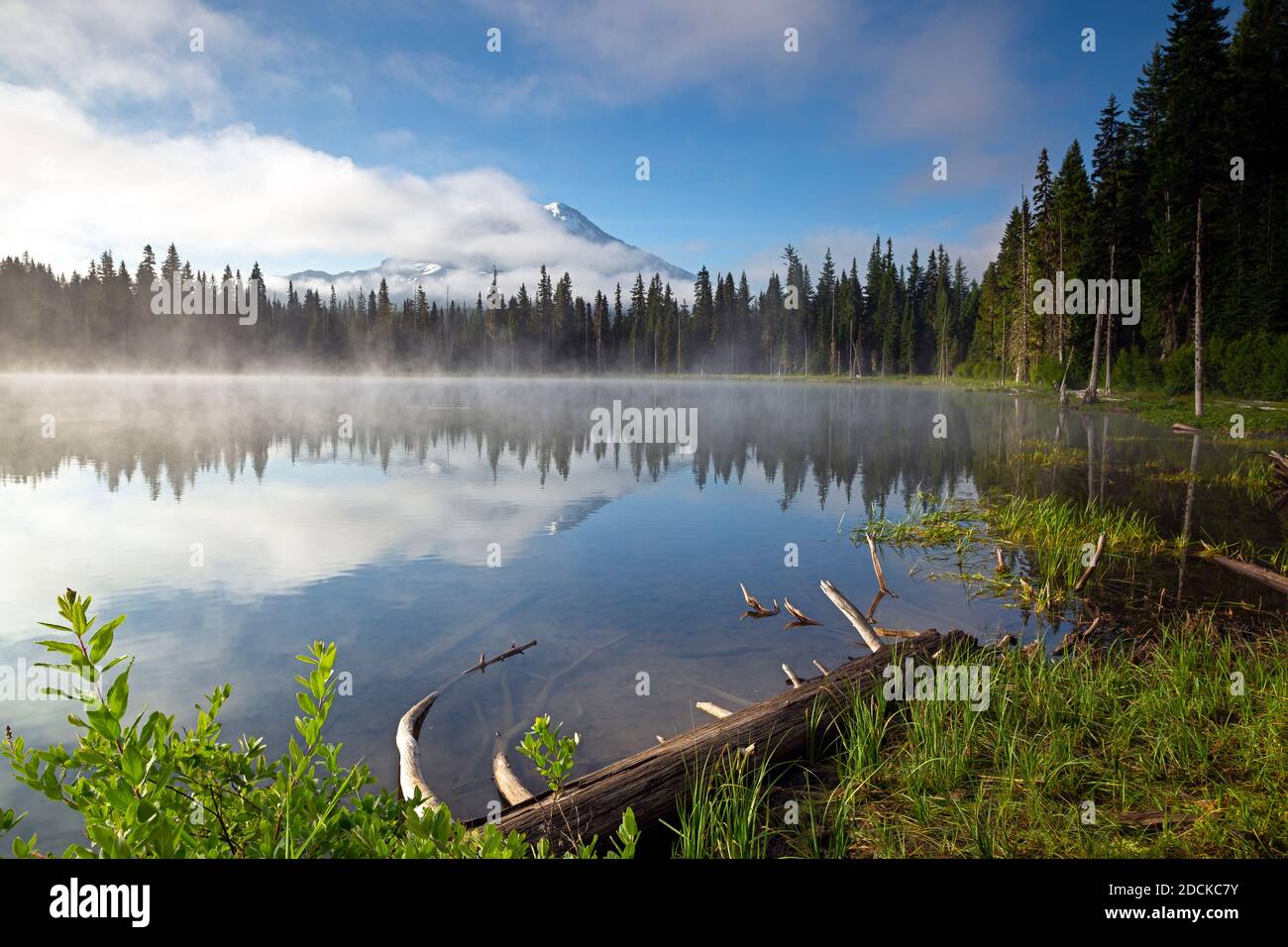 WA18372-00...WASHINGTON - Mount Adams spiegelt sich in Horseshoe Lake im Gifford Pinchot National Forest. Stockfoto
