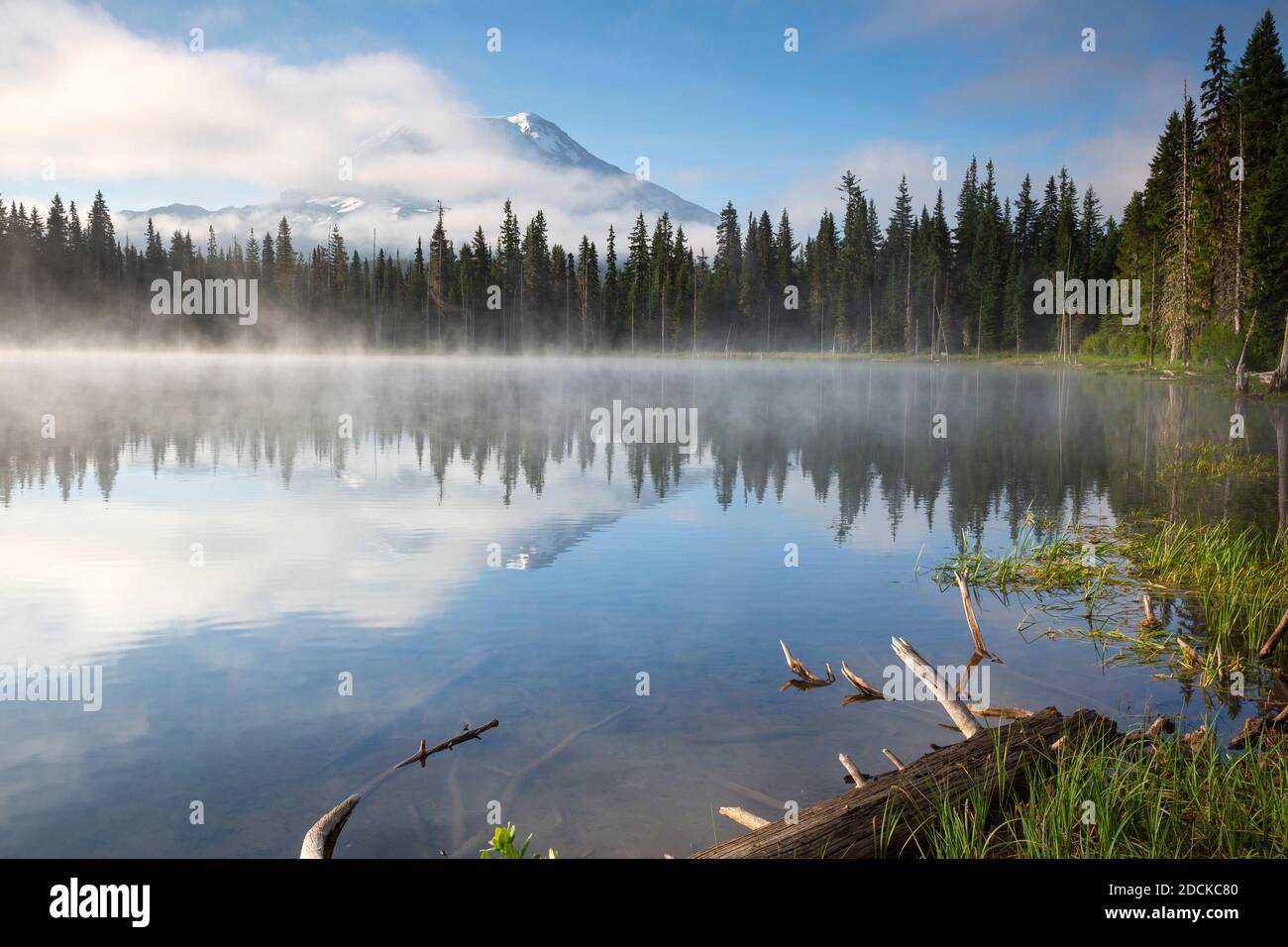 WA18373-00...WASHINGTON - Mount Adams spiegelt sich in Horseshoe Lake im Gifford Pinchot National Forest. Stockfoto