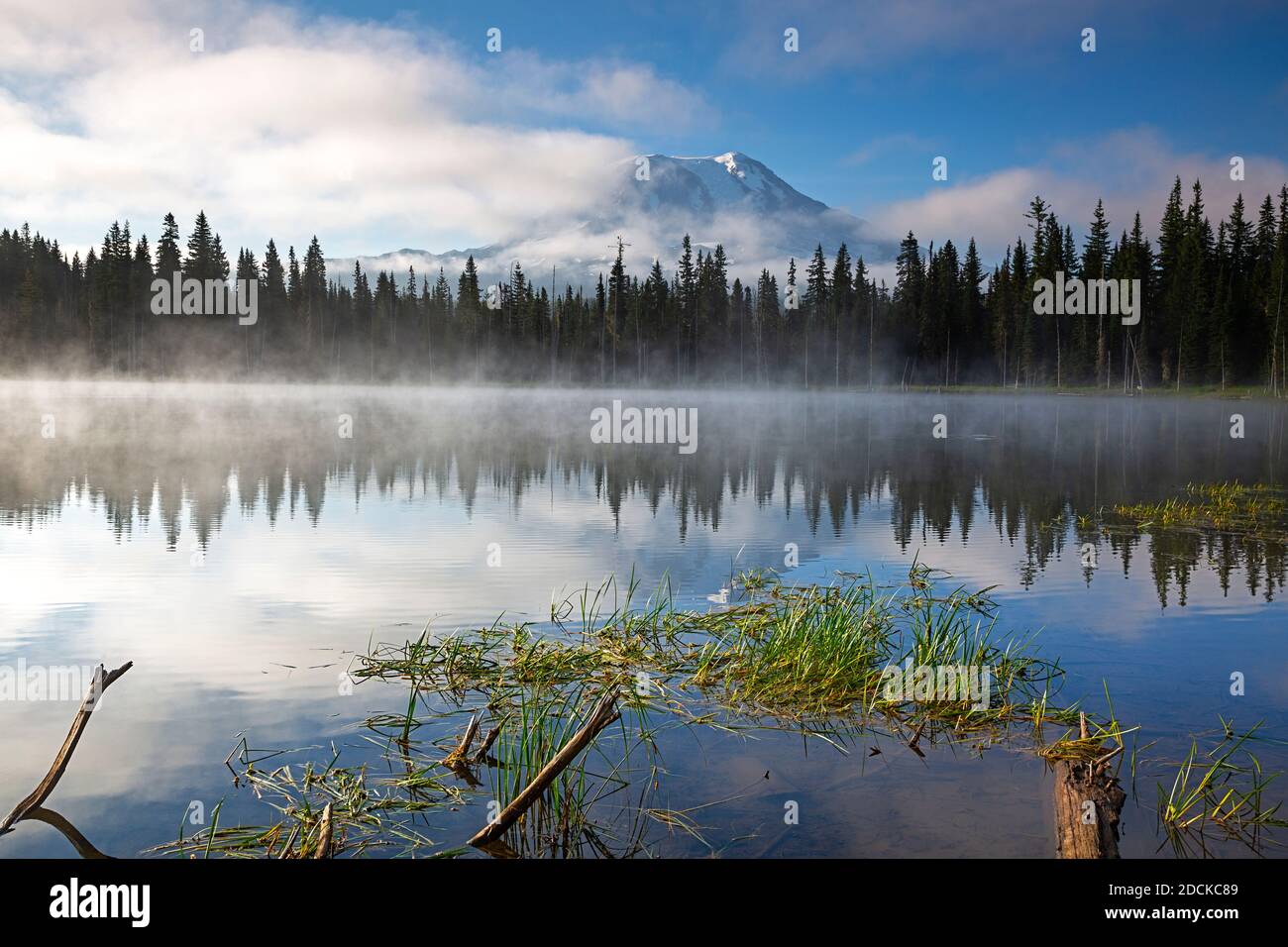 WA18375-00...WASHINGTON - Mount Adams spiegelt sich in Horseshoe Lake im Gifford Pinchot National Forest. Stockfoto