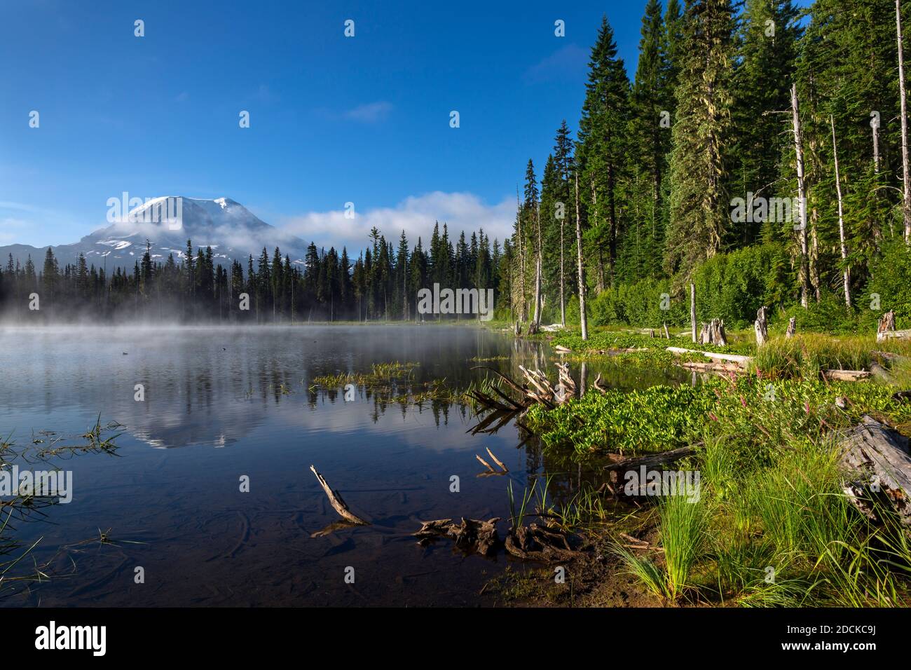 WA18381-00...WASHINGTON - Mount Adams Spiegelung in Horseshoe Lake im Gifford Pinchot National Forest. Stockfoto