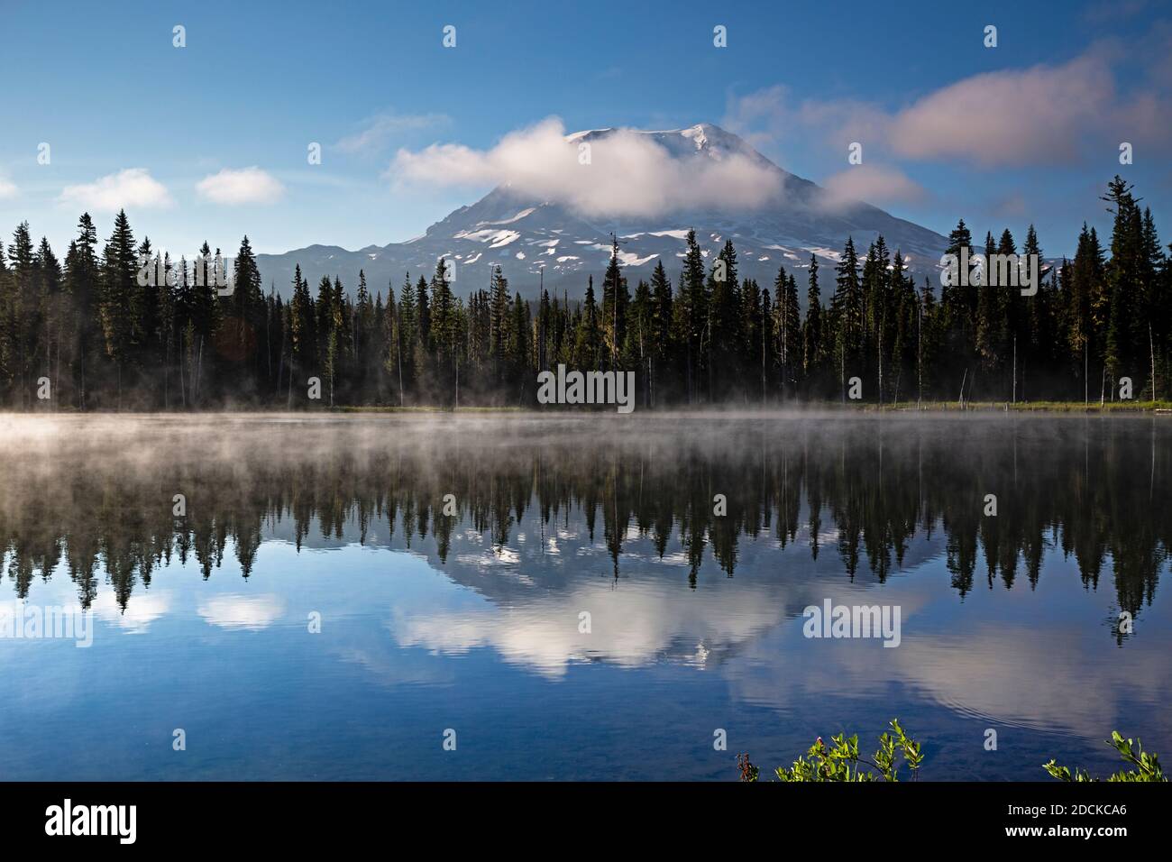 WA18384-00...WASHINGTON - Mount Adams spiegelt sich in Horseshoe Lake im Gifford Pinchot National Forest. Stockfoto