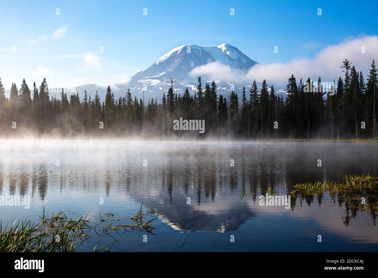 WA18380-00...WASHINGTON - Mount Adams Spiegelung in Horseshoe Lake im Gifford Pinchot National Forest. Stockfoto