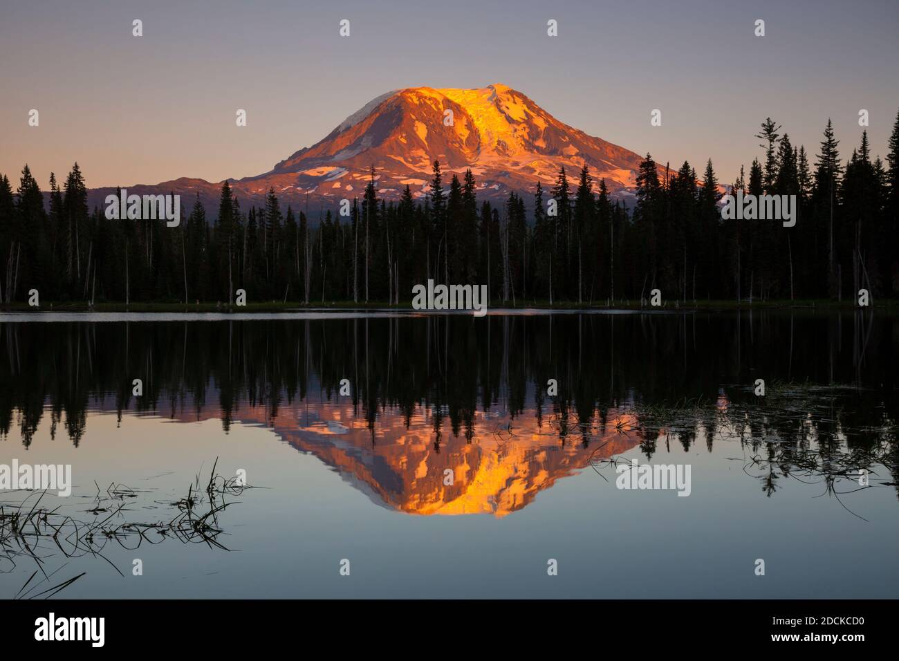 WA18399-00...WASHINGTON - Mount Adams bei Sonnenuntergang spiegelt sich in Horseshoe Lake des Gifford Pinchot National Forest. Stockfoto