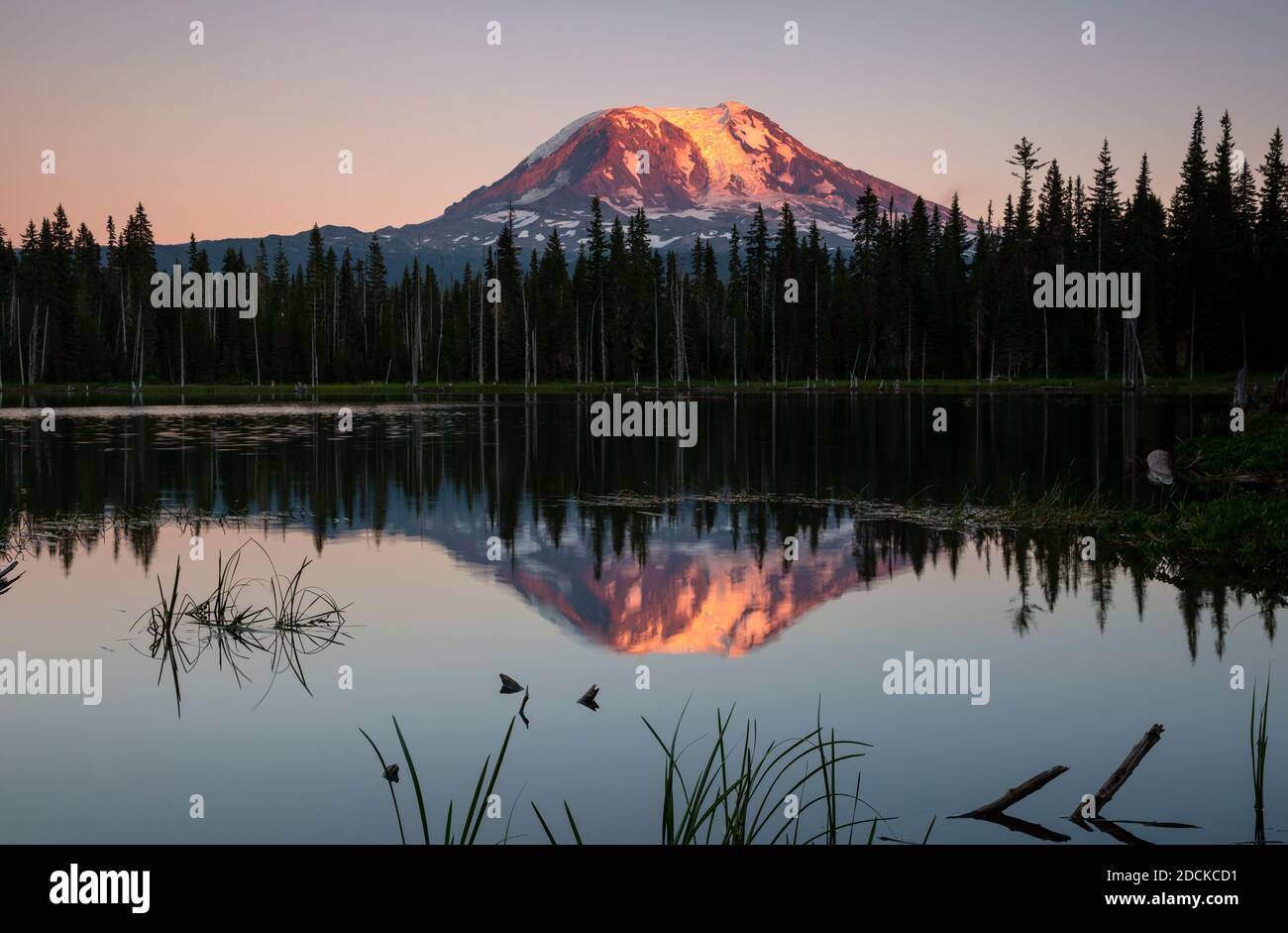 WA18400-00...WASHINGTON - Mount Adams bei Sonnenuntergang spiegelt sich im Horseshoe Lake des Gifford Pinchot National Forest. Stockfoto