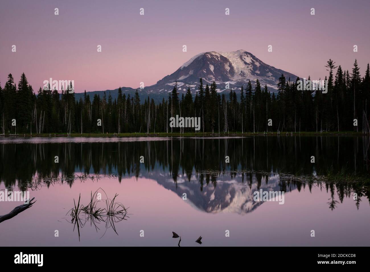 WA18404-00...WASHINGTON - Mount Adams spiegelt sich in Horseshoe Lake in der Abenddämmerung im Gifford Pinchot National Forest. Stockfoto