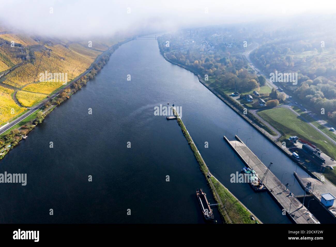 Luftaufnahme, Mosel, Weinberge im Herbst, Zeltingen, Rachtig, Rheinland-Pfalz, Deutschland Stockfoto