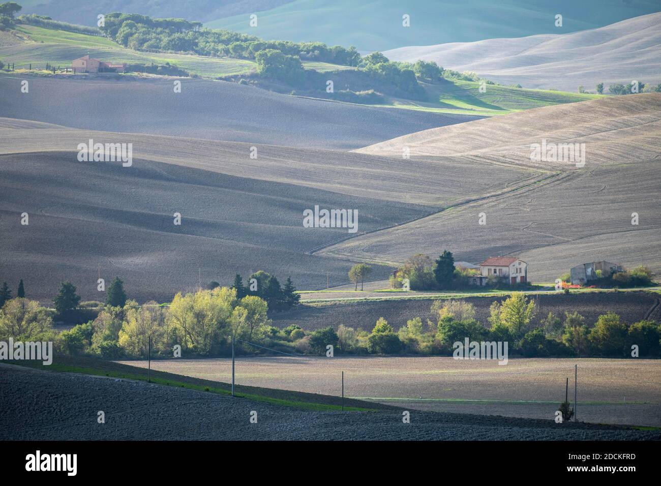 Brachfelder, hügelige Landschaft im Val d'Orvia, in der Nähe von Pienza, Siena, Toskana, Italien Stockfoto