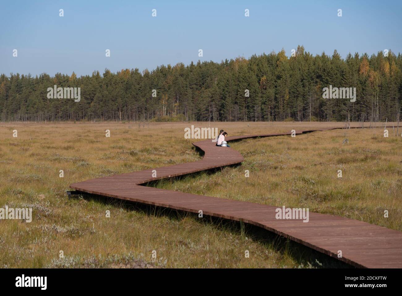 Sankt Petersburg. Russland - Oktober 5,2020: Menschen auf Holzsteg auf dem Gebiet der Sestrorezk Sumpfreservat sitzen. Stockfoto