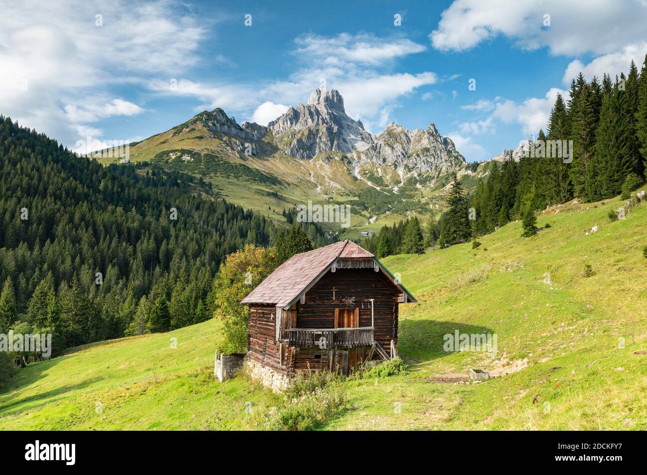 Bischofsmiter mit Alp im Vordergrund, Aualm, Filzmoos, Salzburg, Österreich Stockfoto