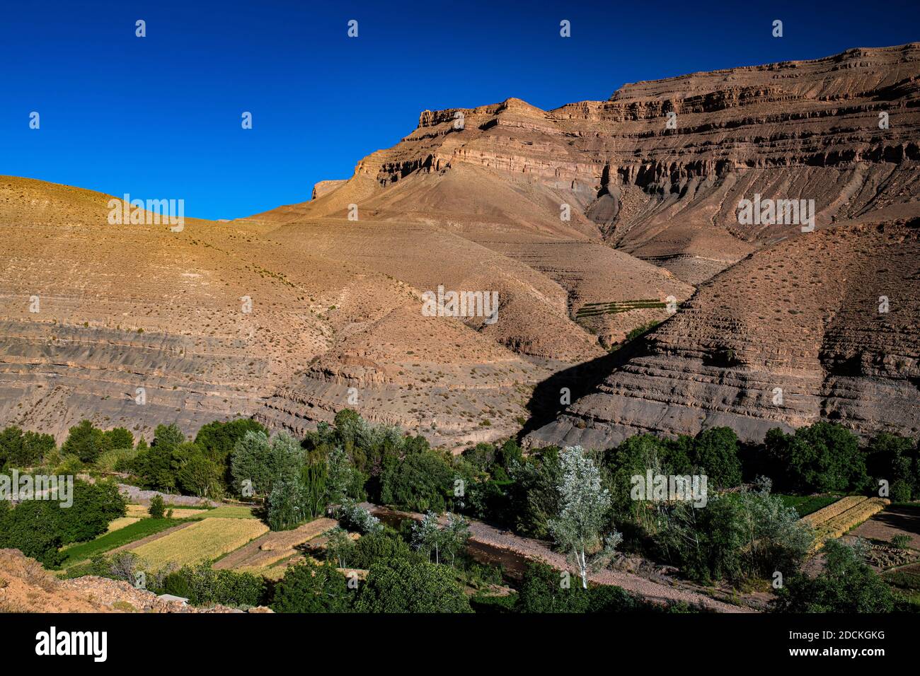 Berge, erodierte Landschaft mit Flussoase und kleinen Feldern im oberen Dades-Tal, Oued Dades bei Msemrir, hoher Atlas, Süd-Marokko, Marokko Stockfoto