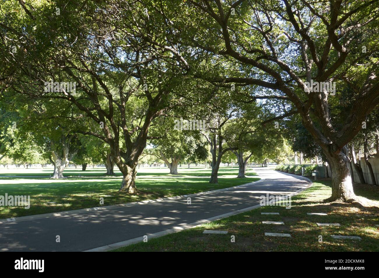 Los Angeles, Kalifornien, USA 16. November 2020 EIN allgemeiner Blick auf die Atmosphäre des Grabes des Schauspielers/Sängers Dean Paul Martin auf dem Nationalfriedhof von Los Angeles am 16. November 2020 in Los Angeles, Kalifornien, USA. Foto von Barry King/Alamy Stockfoto Stockfoto