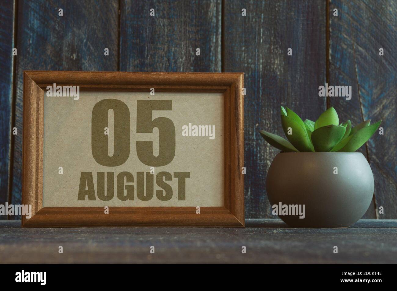 august. Tag 5 des Monats, Datum im Rahmen neben Sukkulenten auf hölzernen Hintergrund Sommermonat, Tag des Jahres Konzept. Stockfoto