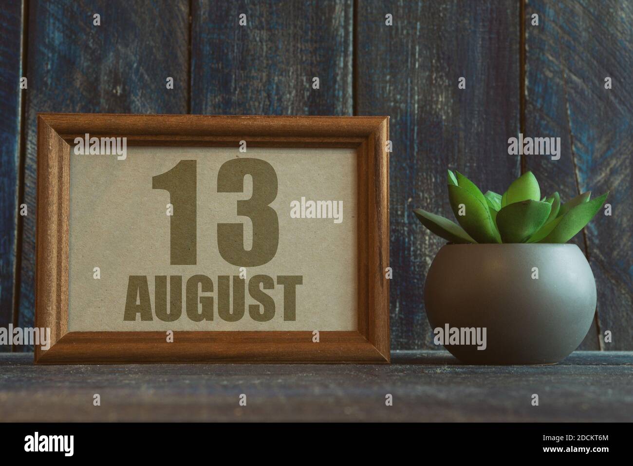 august. Tag 13 des Monats, Datum im Rahmen neben Sukkulenten auf hölzernen Hintergrund Sommermonat, Tag des Jahres Konzept. Stockfoto