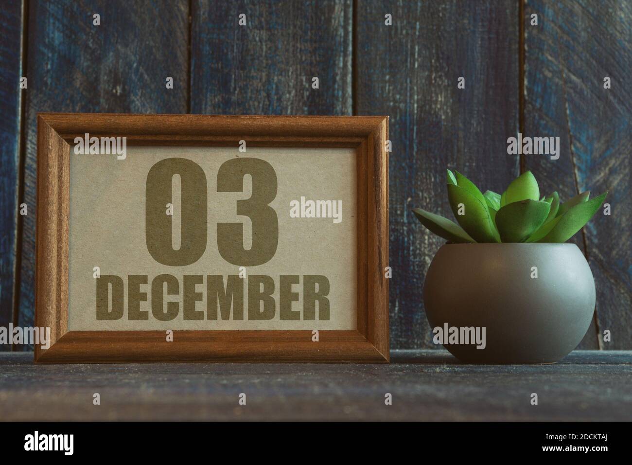 dezember. Tag 3 des Monats, Datum im Rahmen neben Sukkulenten auf Holzhintergrund Wintermonat, Tag des Jahres Konzept. Stockfoto
