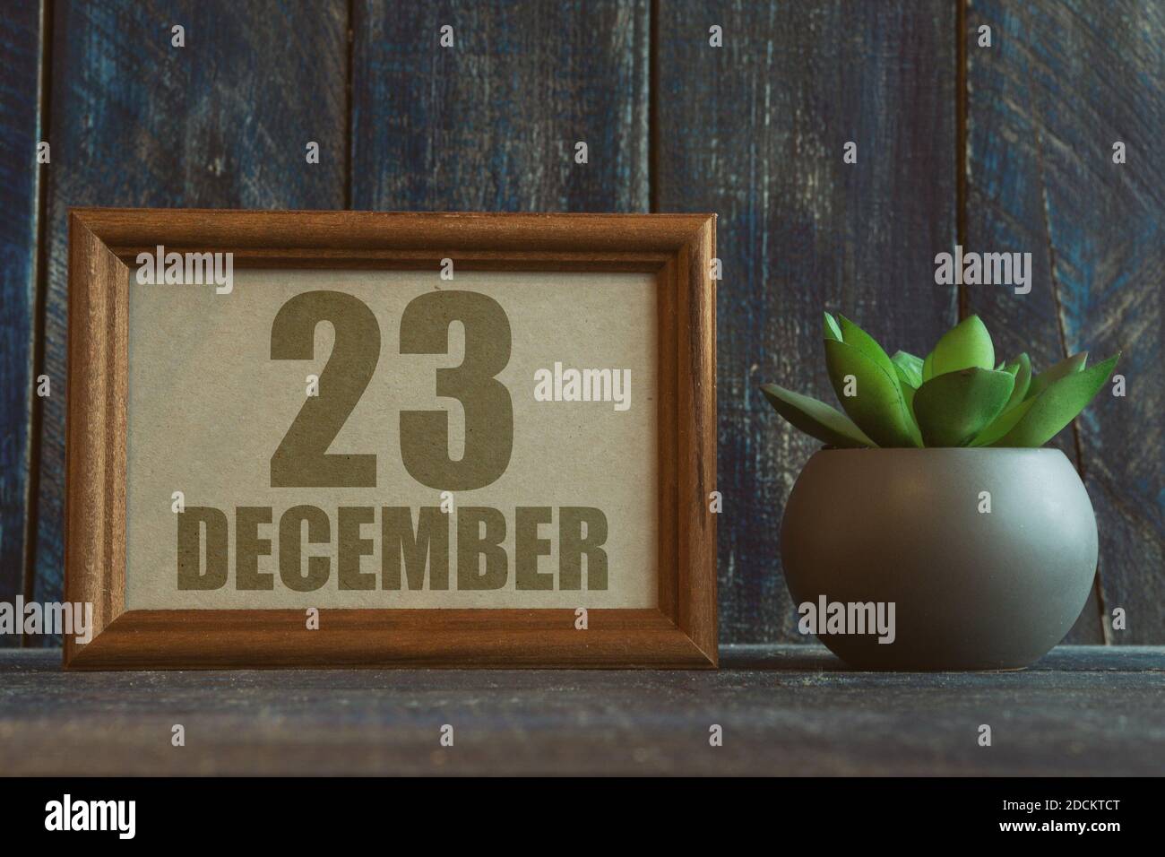 dezember. Tag 23 des Monats, Datum im Rahmen neben Sukkulente auf Holzhintergrund Wintermonat, Tag des Jahres Konzept. Stockfoto