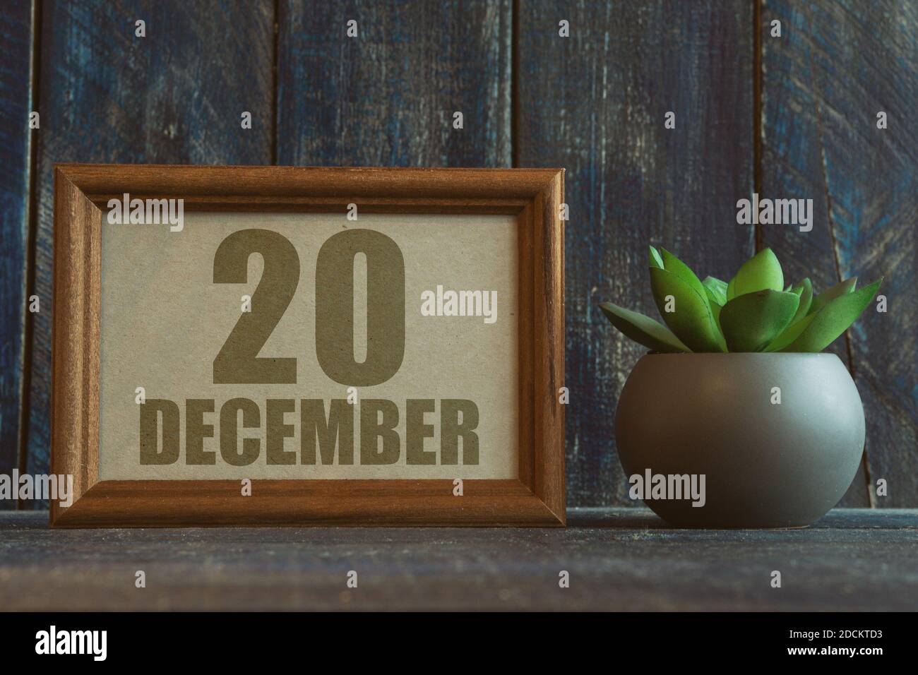 dezember. Tag 20 des Monats, Datum im Rahmen neben Sukkulente auf Holzhintergrund Wintermonat, Tag des Jahres Konzept. Stockfoto