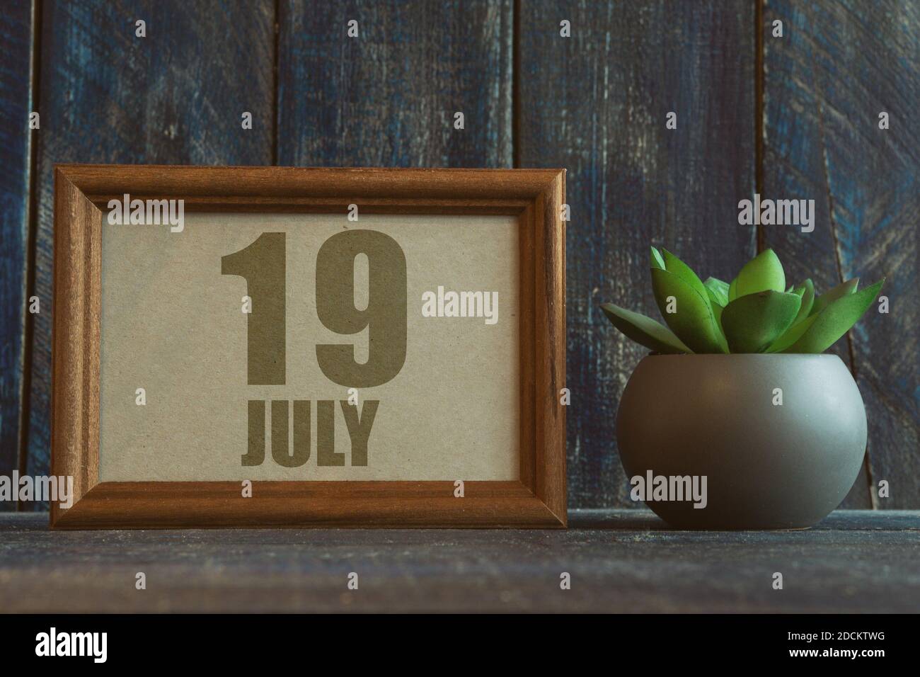 juli. Tag 19 des Monats, Datum im Rahmen neben Sukkulenten auf hölzernen Hintergrund Sommermonat, Tag des Jahres Konzept. Stockfoto