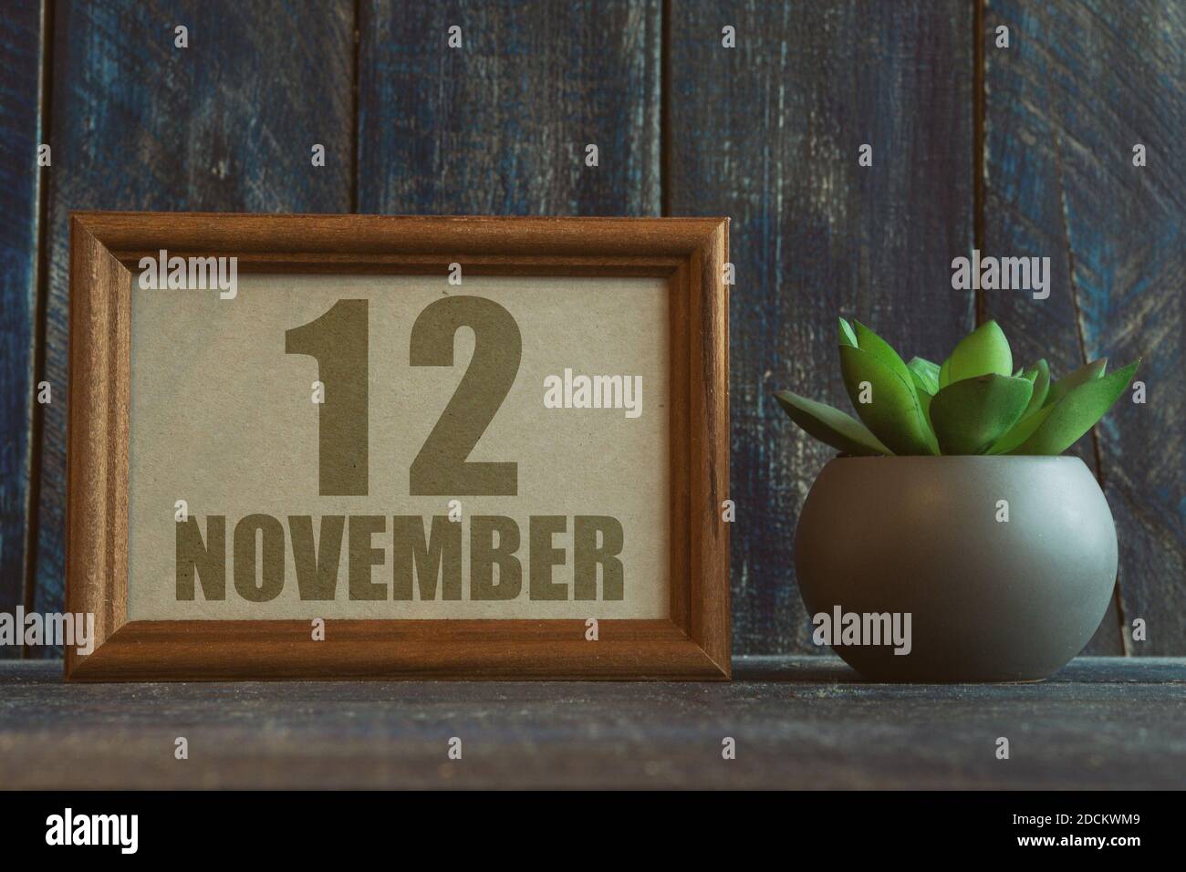 november 12th. Tag 12 des Monats, Datum im Rahmen neben Sukkulente auf Holzhintergrund Herbstmonat, Tag des Jahres Konzept Stockfoto
