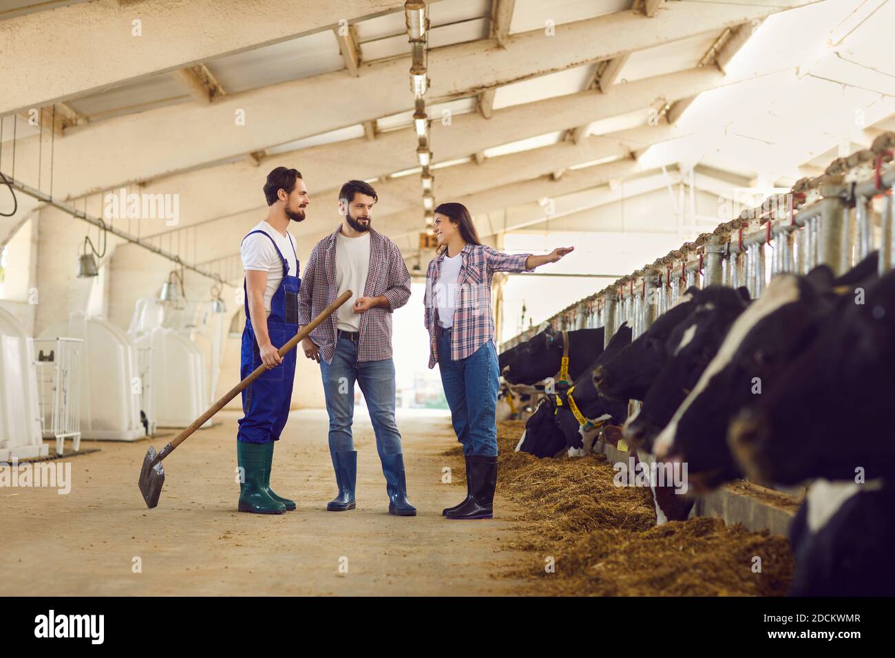 Bauern und ihre neuen Arbeiter stehen in der Kuhstall und Über tägliche Aufgaben sprechen Stockfoto