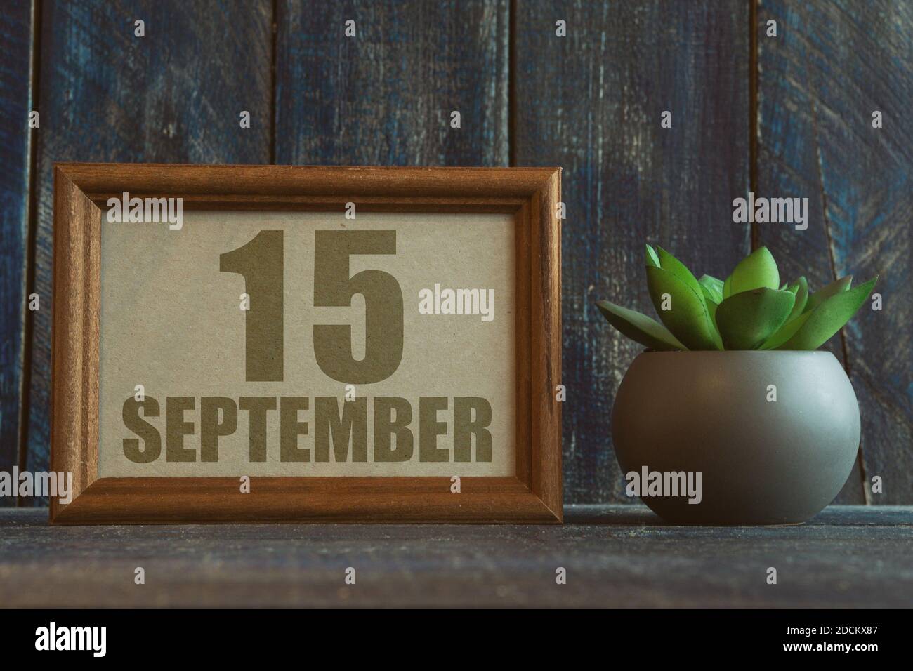 september. Tag 15 des Monats, Datum im Rahmen neben Sukkulente auf Holzhintergrund Herbstmonat, Tag des Jahres Konzept Stockfoto