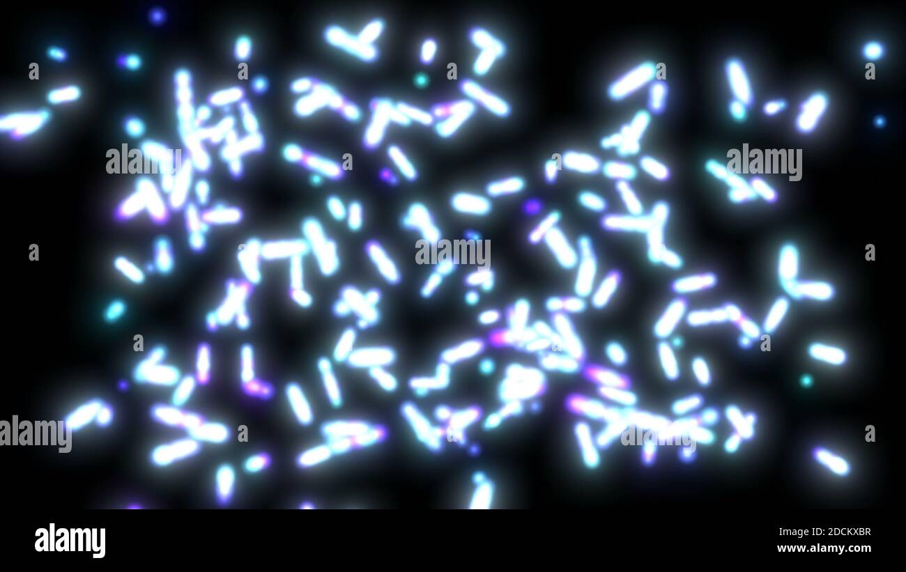 Reproduktion von Bakterien im 3d-Stil Biologie Wissenschaft Hintergrund Zelle 3D-Rendering der Division Stockfoto