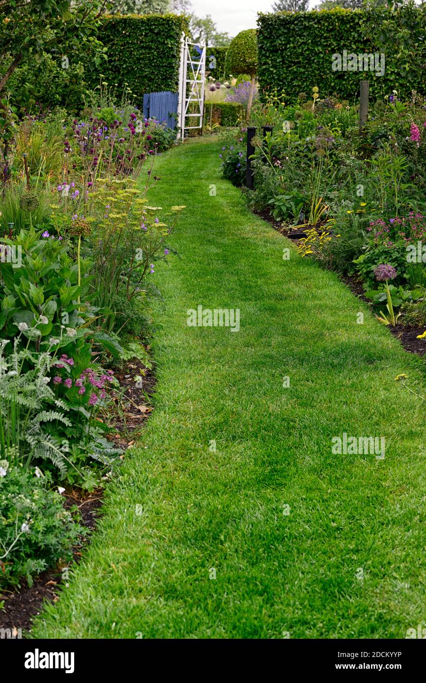 Weiches Abendlicht, weißes Metalltor, weißes schmiedeeisernes Tor, Hüttengarten, krautige Ränder, Pfad, Pfad, Mown Pfad,Allium,zirsium,Fuchshandschuh,Schafgarbe,pu Stockfoto