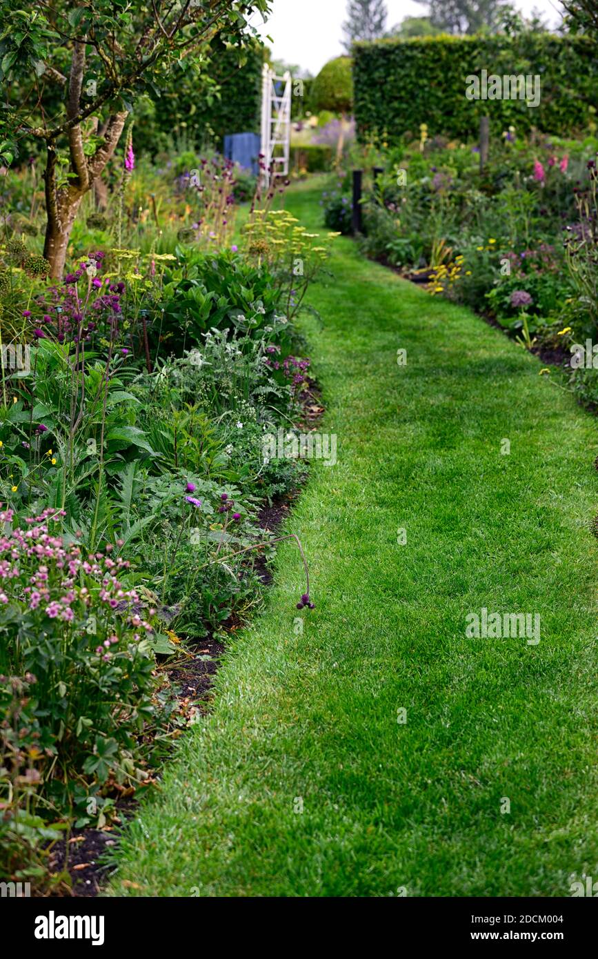 Weiches Abendlicht, weißes Metalltor, weißes schmiedeeisernes Tor, Hüttengarten, krautige Ränder, Pfad, Pfad, Mown Pfad,Allium,zirsium,Fuchshandschuh,Schafgarbe,pu Stockfoto