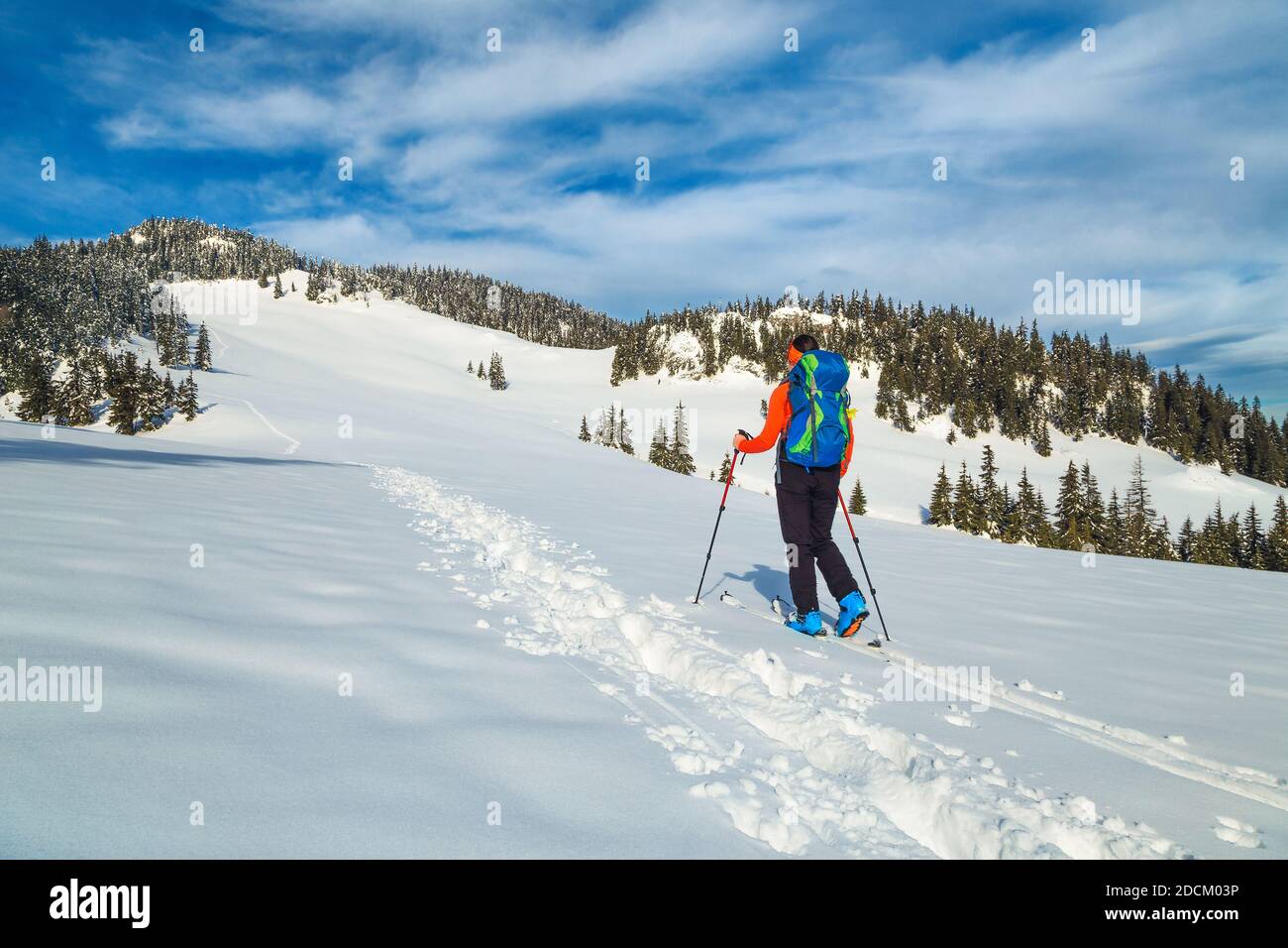 Aktive Backpacker Frau im frischen Pulverschnee, Skitouren auf dem Tiefschnee. Backcountry Skifahrer mit bunten Rucksack auf dem Hügel, Karpaten, Transyl Stockfoto