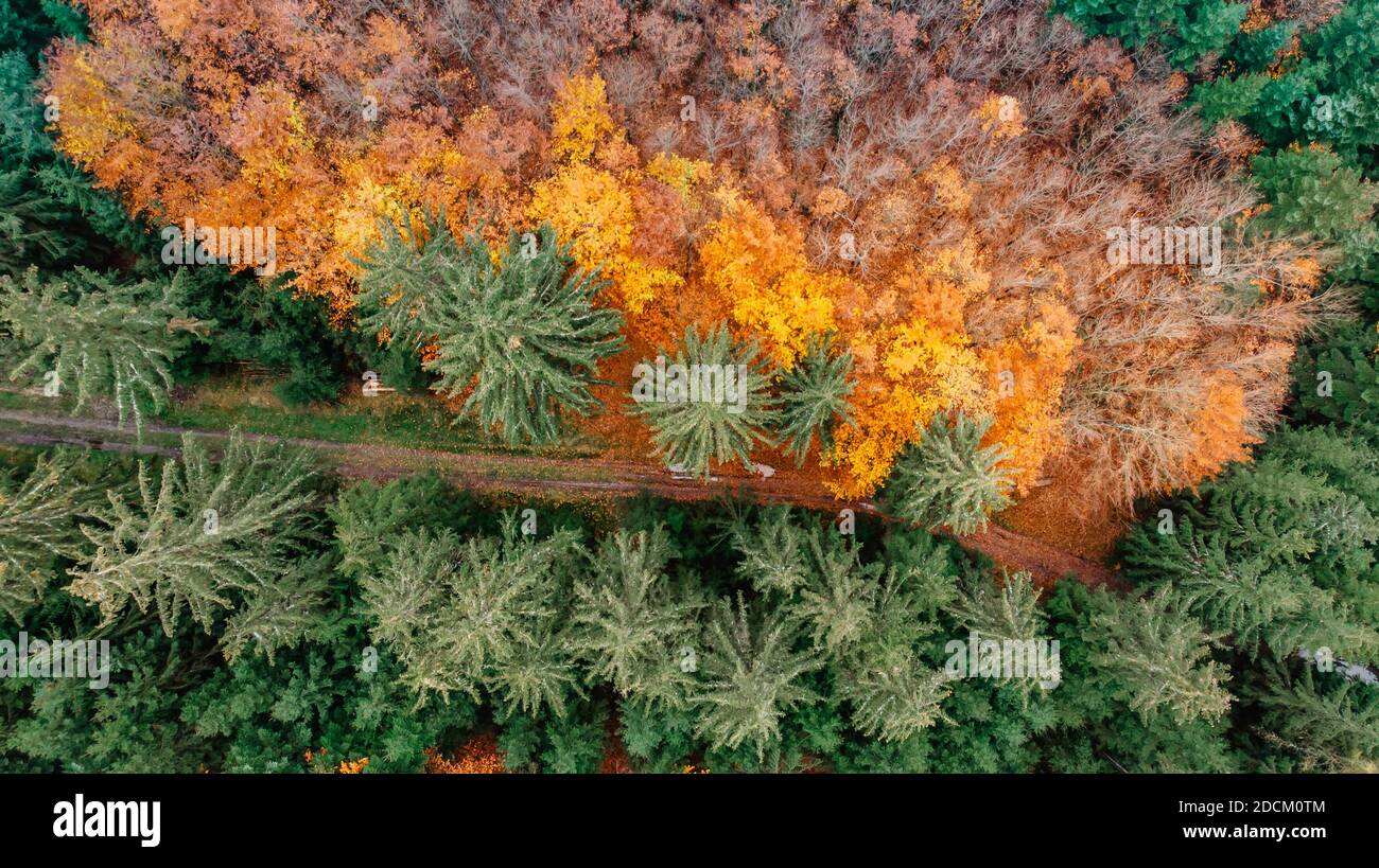 Herbstwald Landschaft Blick von oben. Bunte Natur Hintergrund. Herbst Wald Luft Drohne view.Idyllischen Herbst Landschaft aus der Vogelperspektive.Bäume wi Stockfoto