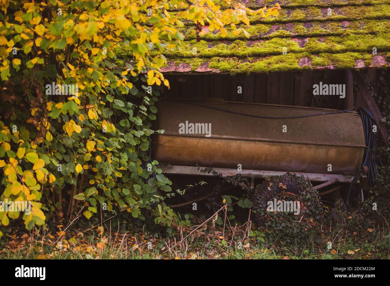Verlassene, verlorene Ort mit sehr alten und beschädigten Fahrzeug zum Entspannen und grünen Mosh. Herbst gespenstisch leerer Wald. Einsamkeit und Leerheit Konzept. Stockfoto