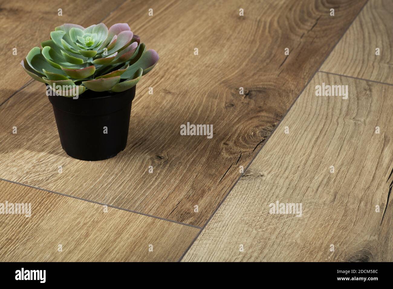 Laminathintergrund. Home Blumen auf dem Boden. Holzlaminat- und Parkettbretter für den Boden in der Innenarchitektur. Stockfoto