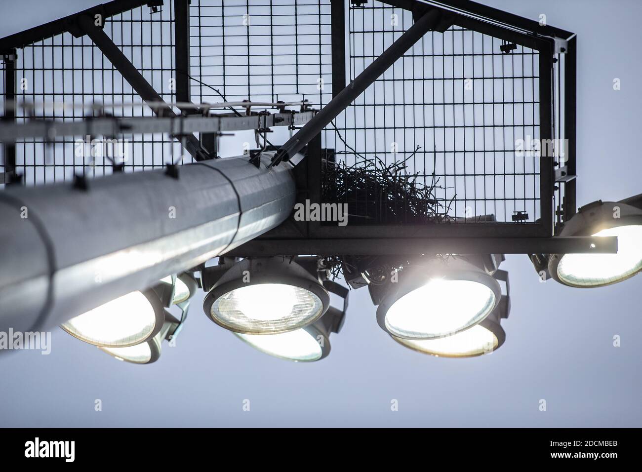 Blick auf beleuchtetes Flutlicht von unten auf Sport / Fußball / Fußballstadion Stockfoto