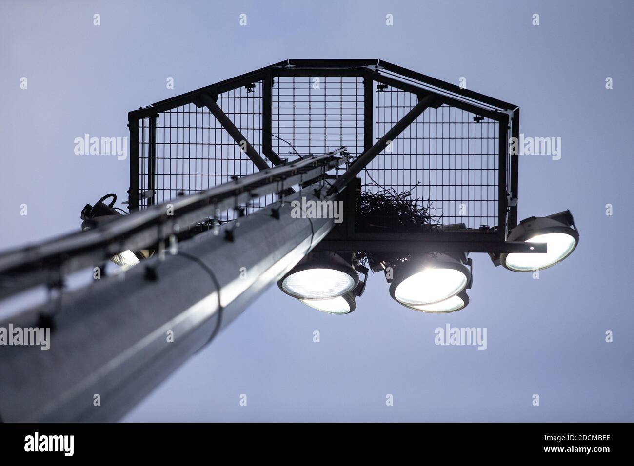 Blick auf beleuchtetes Flutlicht von unten auf Sport / Fußball / Fußballstadion Stockfoto