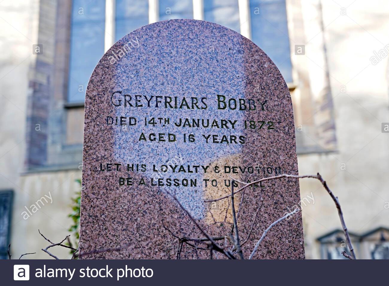 Greyfriars Bobby, 1855 – 1872, wurde in Edinburgh bekannt, weil er 14 Jahre lang das Grab seines Besitzers bewachte. Grab in Greyfriars Kirkyard Edinburgh Stockfoto