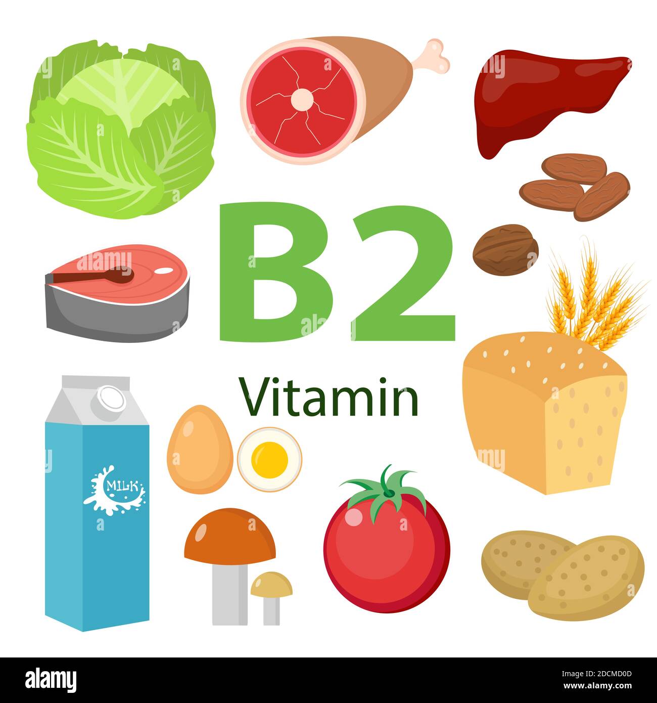 Vitamine und Mineralstoffe Lebensmittel Illustrator-Set 7.Vector Satz von vitaminreichen Lebensmitteln. Vitamin B2-Milch, Ei, Spinat, Austern, Käse, Leber, Pilze und Stock Vektor