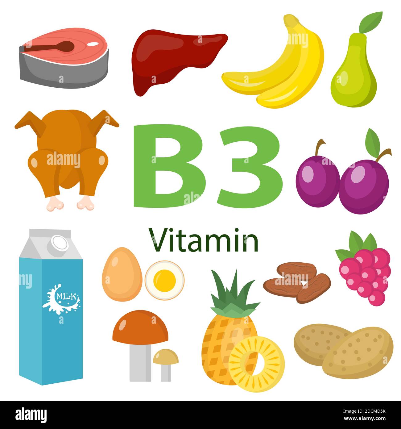 Vitamine und Mineralien Lebensmittel .Vektor-Satz von vitaminreichen Lebensmitteln. Vitamin B3 Fleisch, Spinat, Geflügel, Fisch, Leber, Pilze, Kartoffeln und Erdnüsse Stock Vektor