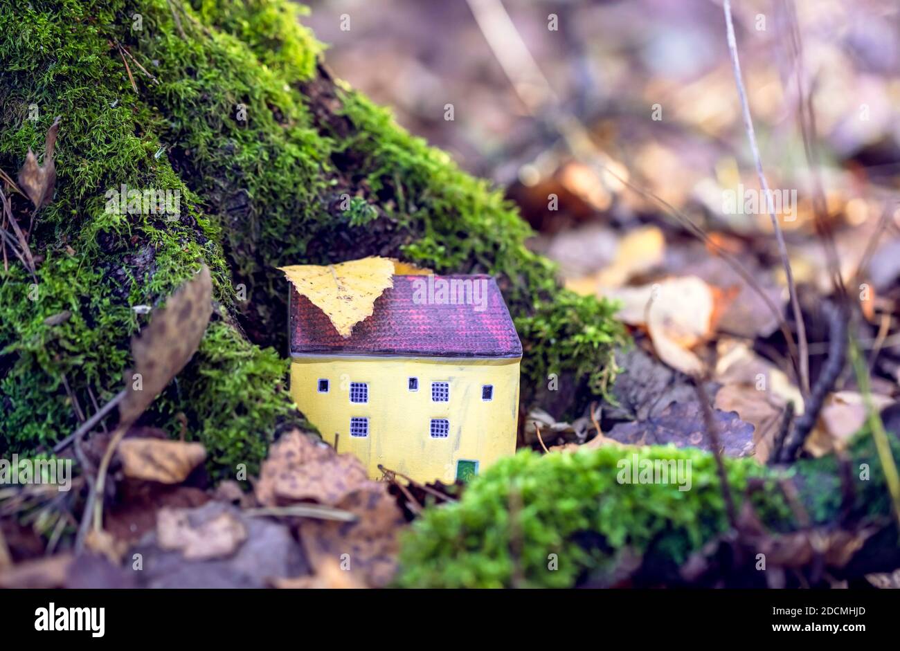 Kleines Spielzeughaus in der Nähe des moosigen Baumes unter gefallenen Blättern am Herbsttag. Stockfoto