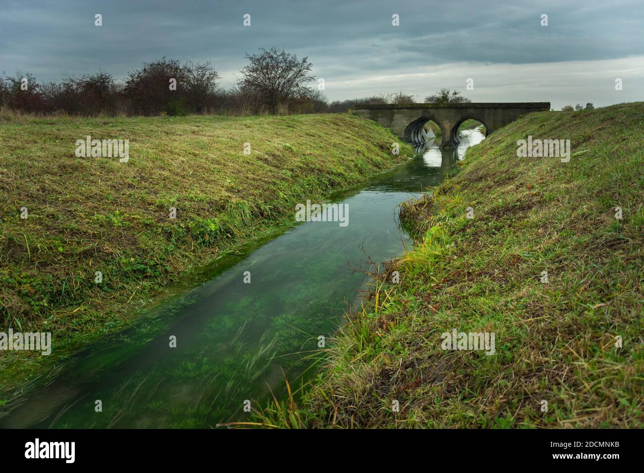 Ein kleiner Fluss mit Pflanzen auf dem Boden, Beton alte Brücke, Okszow, Polen Stockfoto