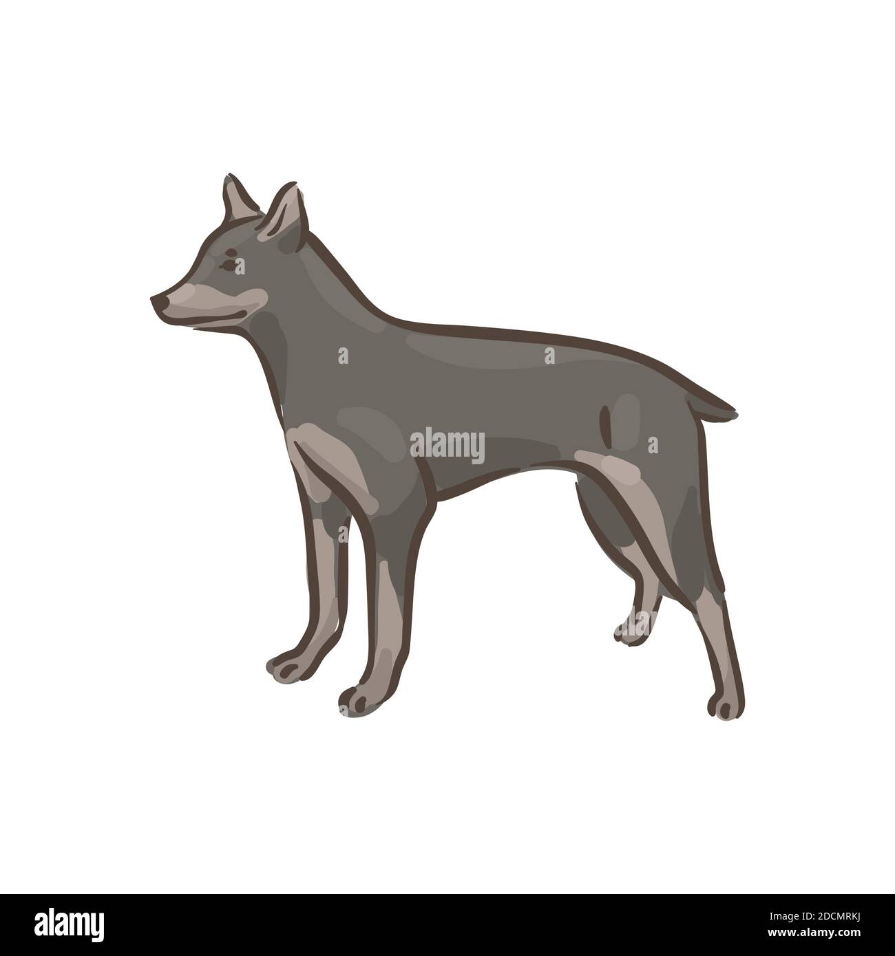 Niedlichen Hund Pinscher Rasse Stammbaum Vektor Illustration Stock Vektor