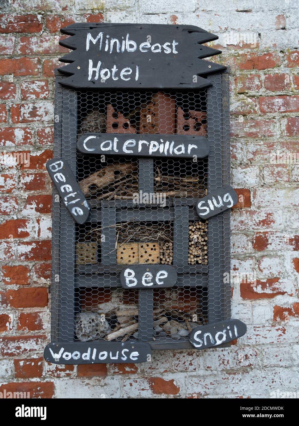 Ein Insektenhaus aus Holz mit Drahtgeflitzung Zur Erhaltung der Zucht Winterschlaf und Untersuchung von Insekten Stockfoto