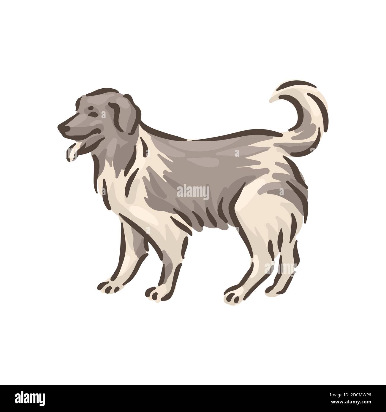 Cute Hund kaukasischen Schäferhund Rasse Stammbaum Vektor Illustration Stock Vektor