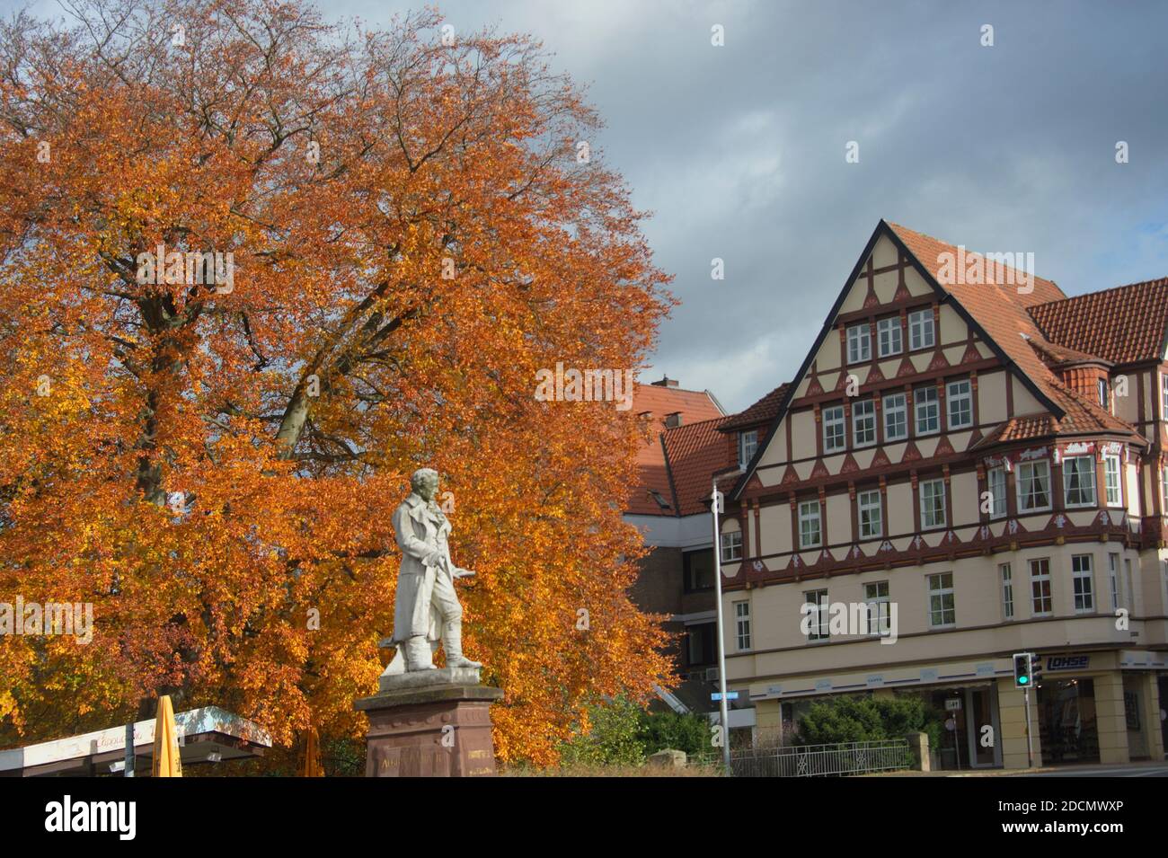 Albrecht-Thaer-Denkmal mit Buche im Herbst, Celle Stockfoto