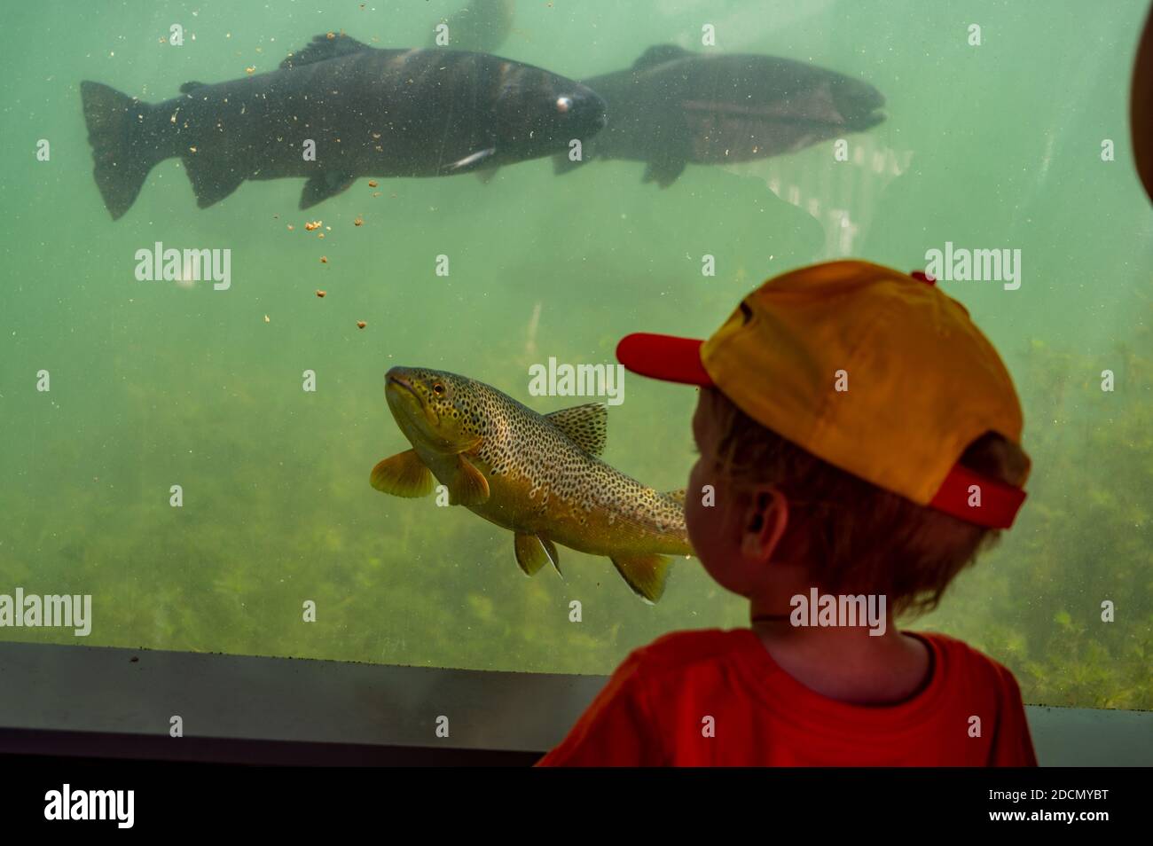 Historische Fischbrüterei für Forellen- und Lachsanzucht im Süden Dakota Stockfoto