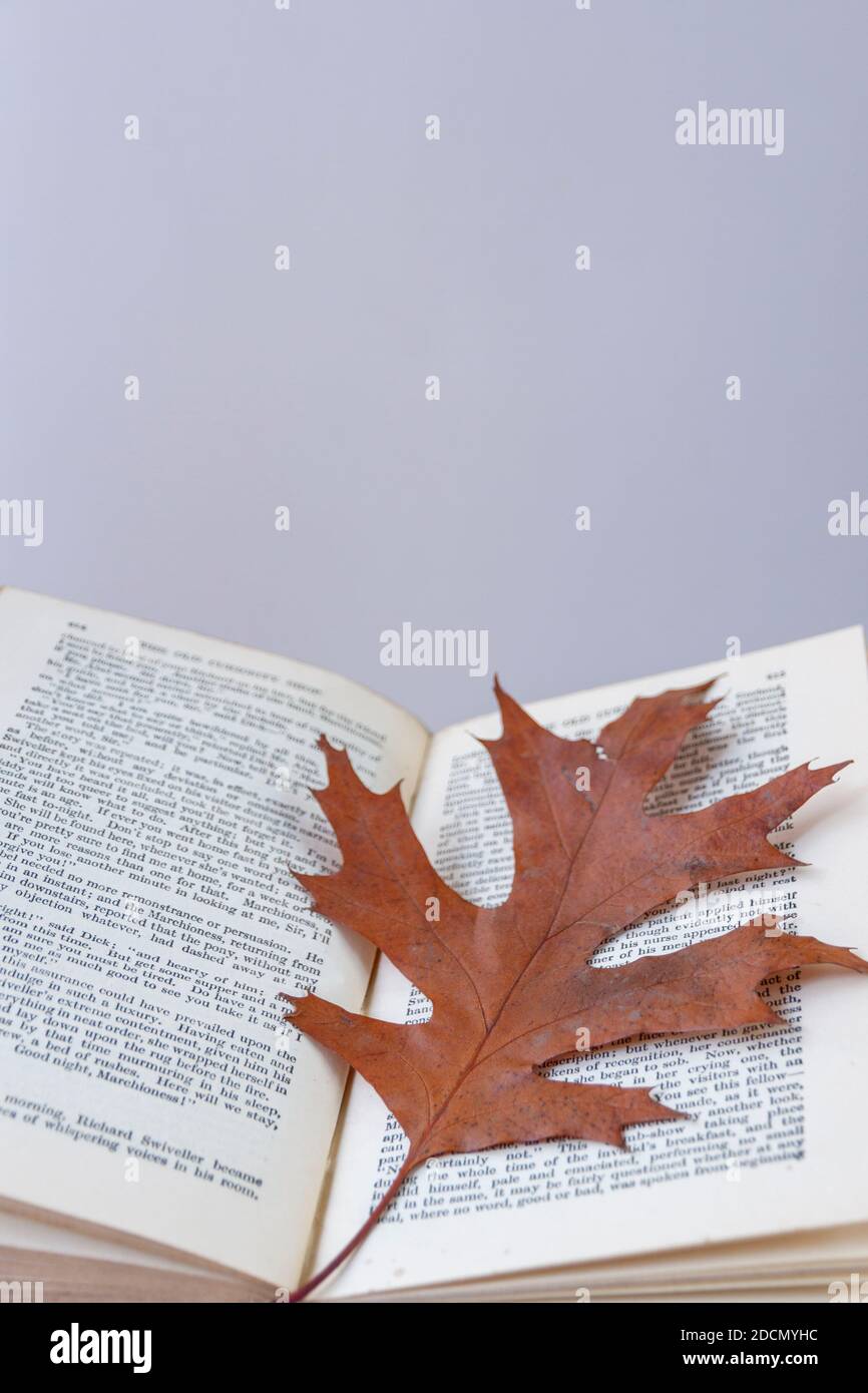 Ein Herbstblatt, das auf einer geöffneten Seite einer alten Ausgabe von 'The Old Curiosity Shop' liegt. Leerzeichen für Text oben Stockfoto