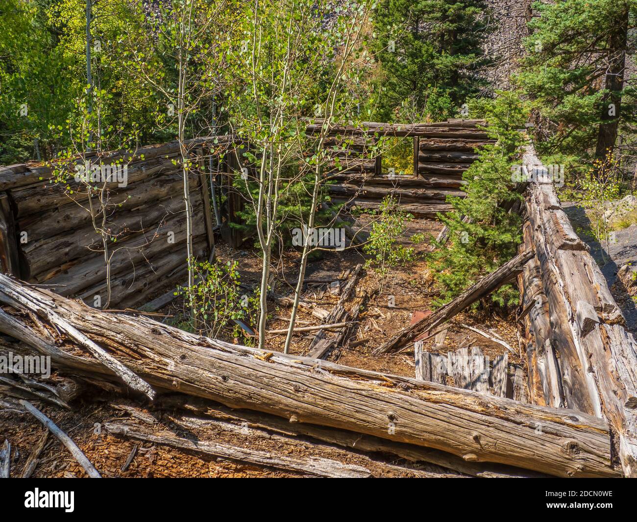 Old Maid Mine, Dexter Creek Trail, Uncompahgre National Forest, Ouray, Colorado. Stockfoto