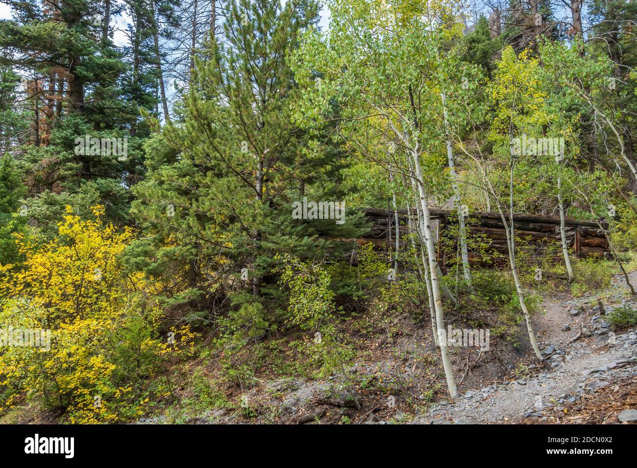 Old Maid Mine, Dexter Creek Trail, Uncompahgre National Forest, Ouray, Colorado. Stockfoto