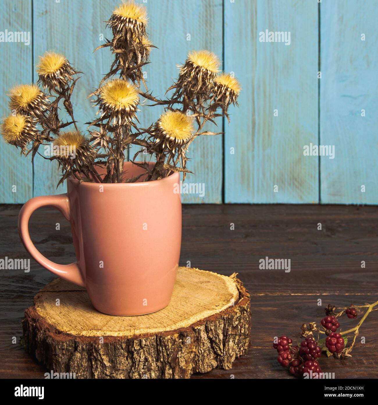 n Herbst Zusammensetzung mit getrockneten Dornen in einem rosa tasse auf einem Holzstumpf mit einem Zweig Brombeere Stockfoto